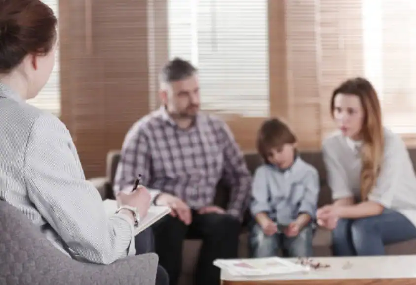 Different Parenting Styles and Expectations: Finding Common Ground Through Mediation Hastings